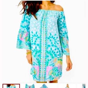 Lilly Pulitzer Nevie Dress!